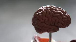 fmybrainout