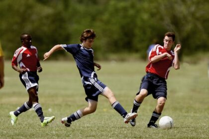 sports harmonicode