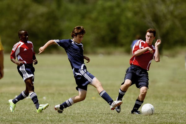 sports harmonicode