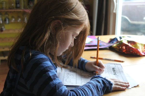 constitution worksheets