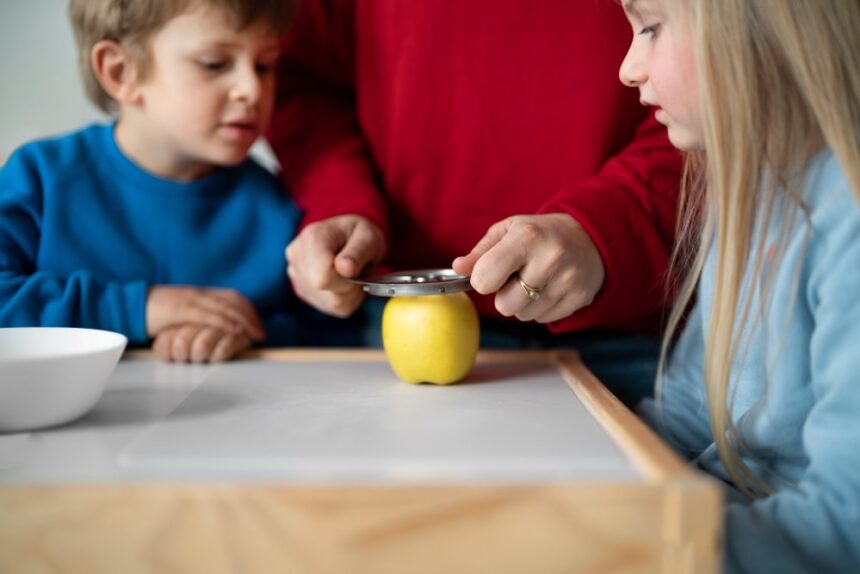 what are related services in special education